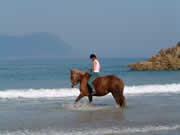 Reiten